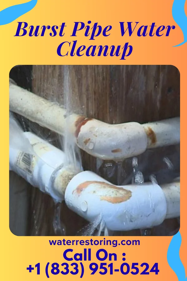 Burst Pipe Water Cleanup in Rural Hill, TN