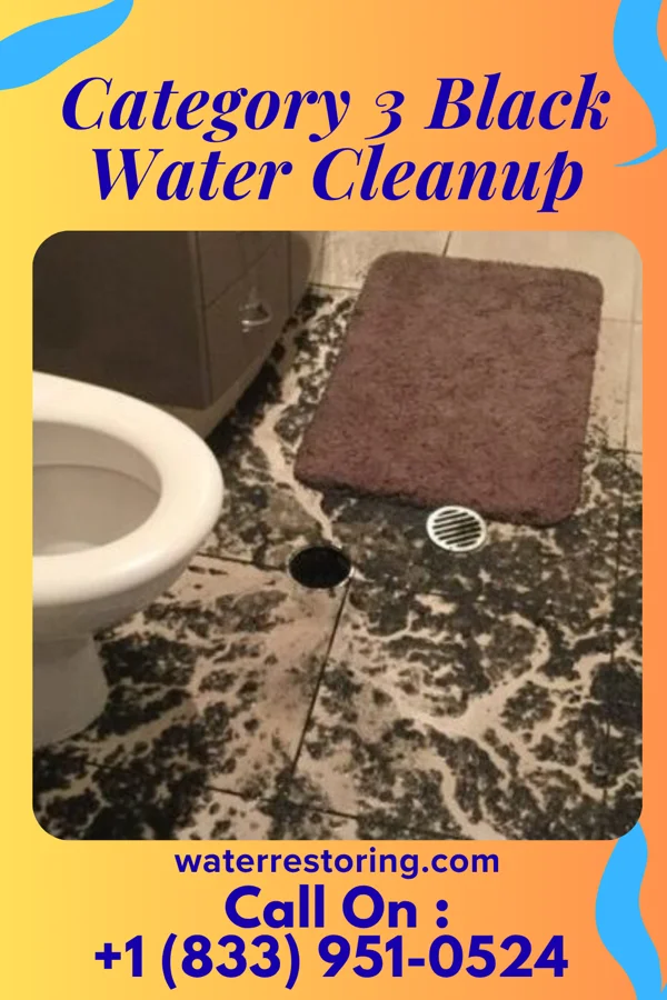 Category 3 Black Water Cleanup in Rural Hill, TN