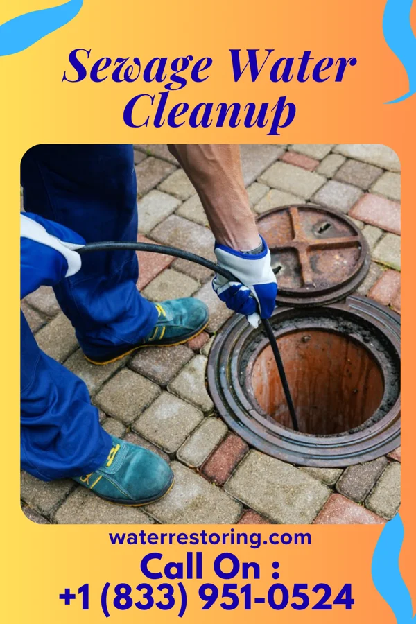 Sewage Water Cleanup in Rural Hill, TN