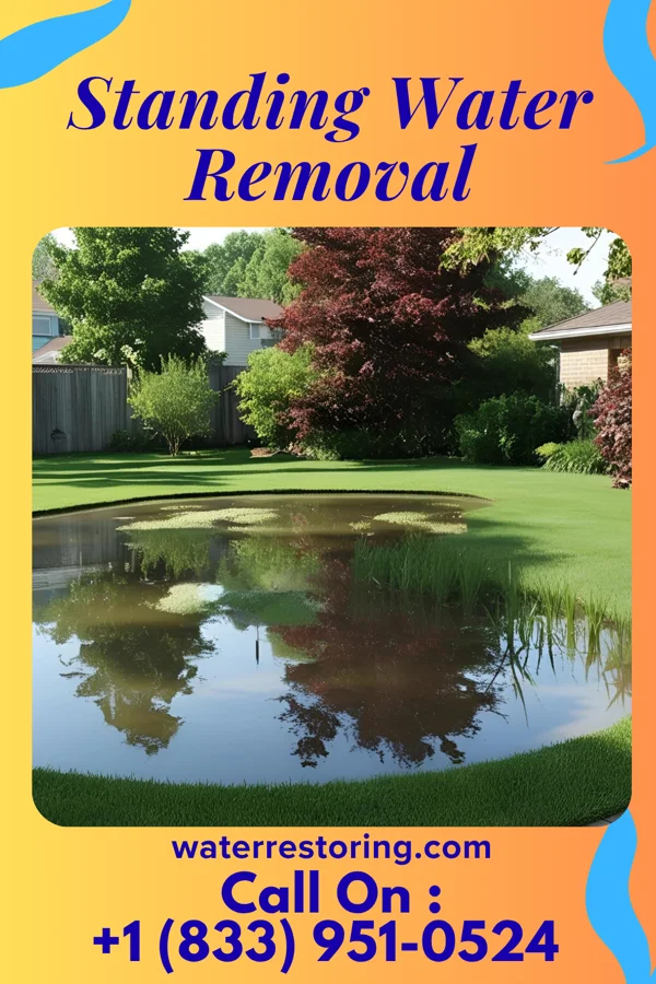 Standing Water Removal in Rural Hill, TN